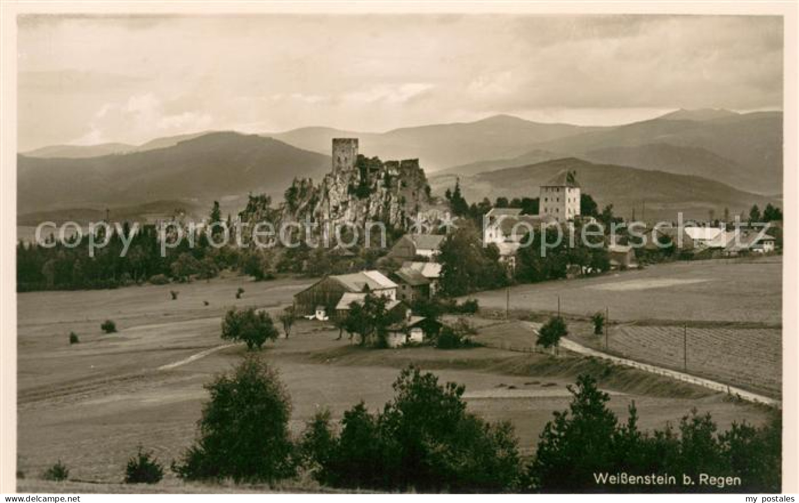 73622610 Weissenstein Regen Panorama Burgruine Bayerischer Wald Weissenstein Reg - Regen