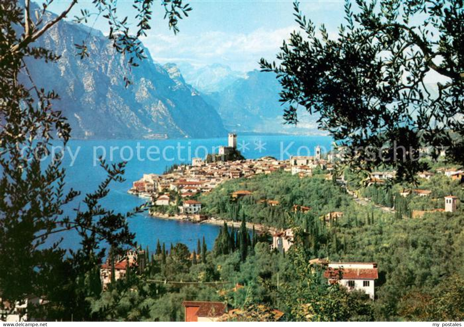 73622499 Malcesine Lago Di Garda Panorama Malcesine Lago Di Garda - Sonstige & Ohne Zuordnung