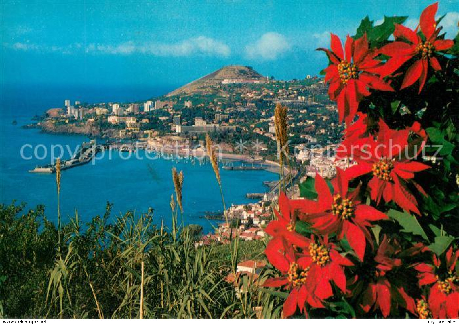 73620562 Funchal Panorama Blick Von Westen Funchal - Andere & Zonder Classificatie