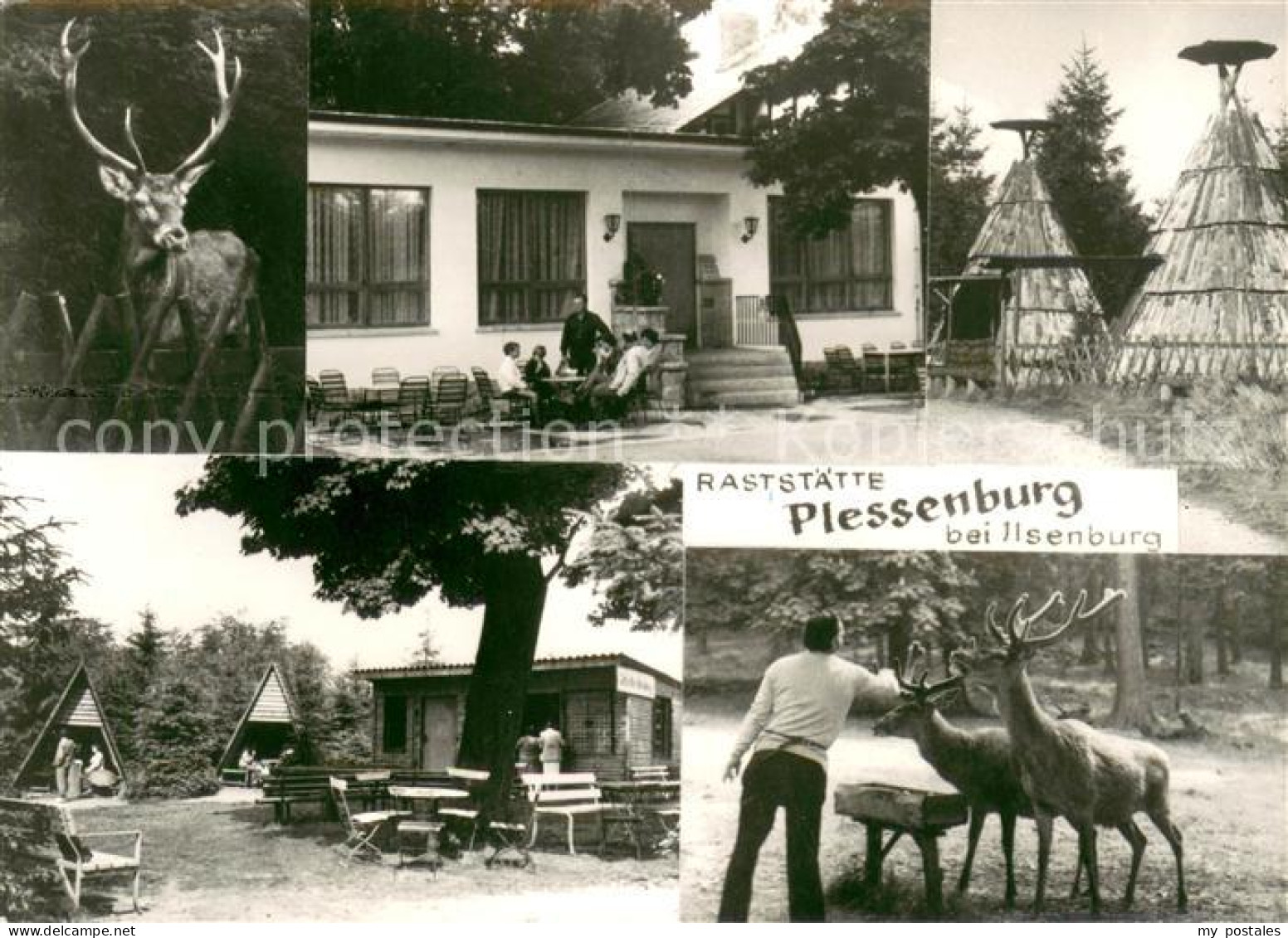 73619946 Ilsenburg Harz Raststaette Plessenburg Bungalows Tipis Wildgehege Ilsen - Ilsenburg