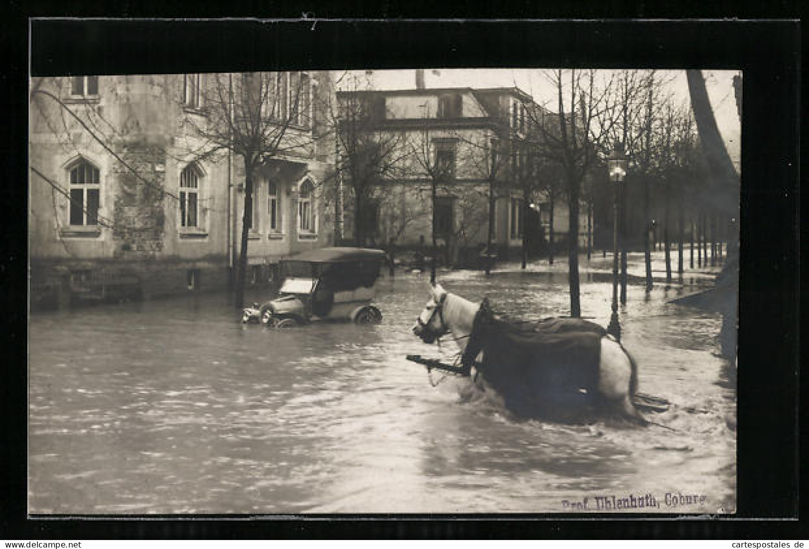 AK Coburg, Hochwasser 1909 In Den Strassen Der Stadt  - Inondations