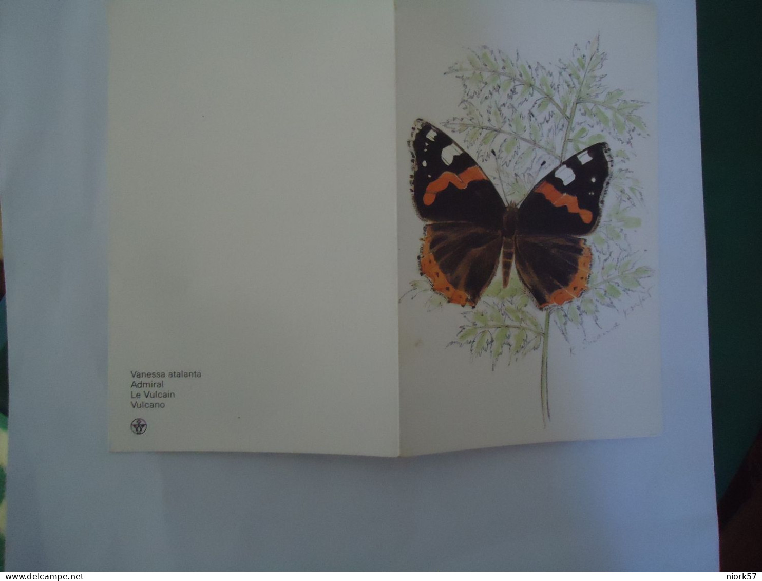 GREECE   POSTCARDS   BUTTERFLIES   MORE  PURHASES 10% DISCOUNT - Schmetterlinge