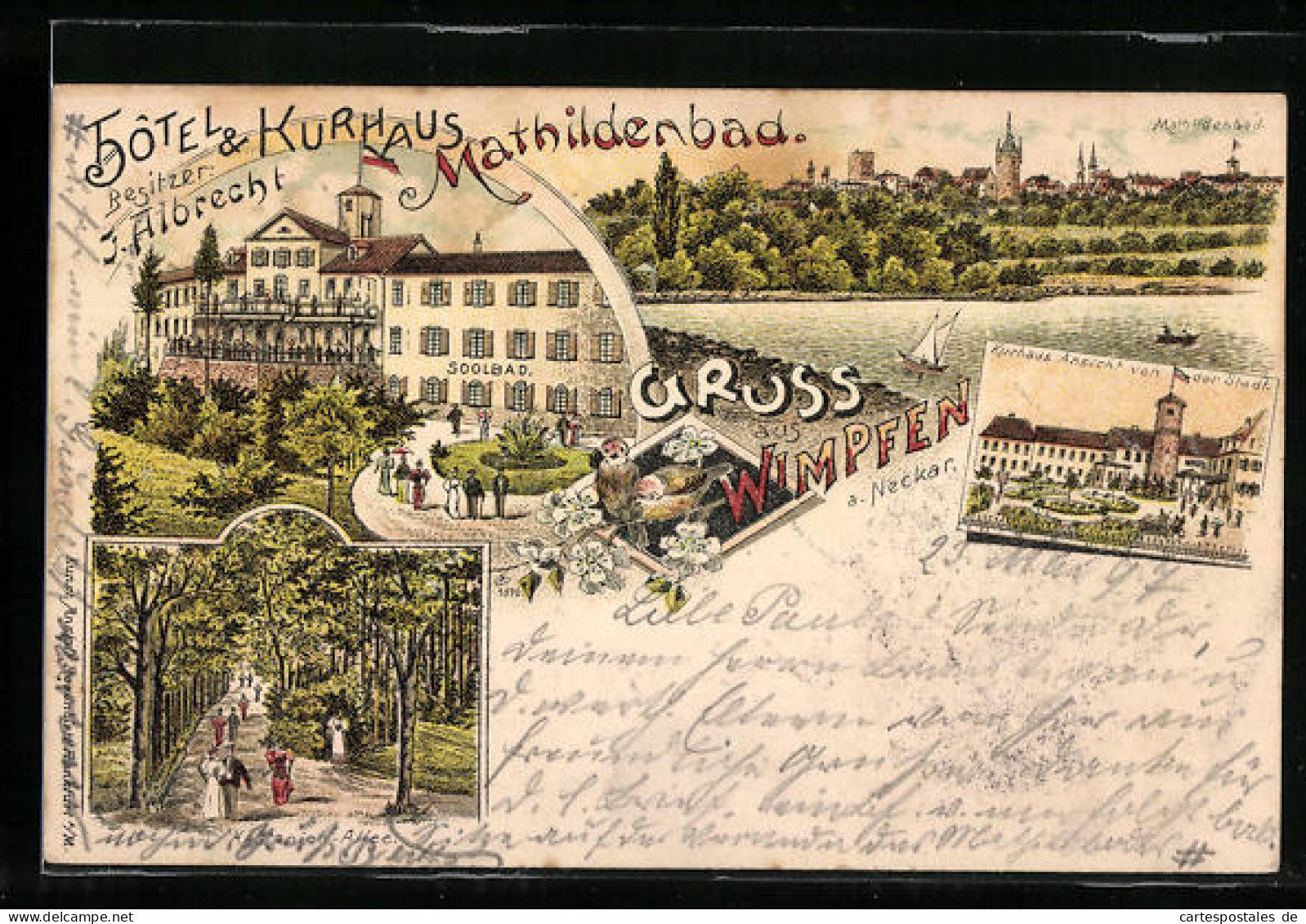 Lithographie Wimpfen A. Neckar, Hôtel & Kurhaus Mathildenbad, Kastanien-Allee, Uferpartie  - Bad Wimpfen