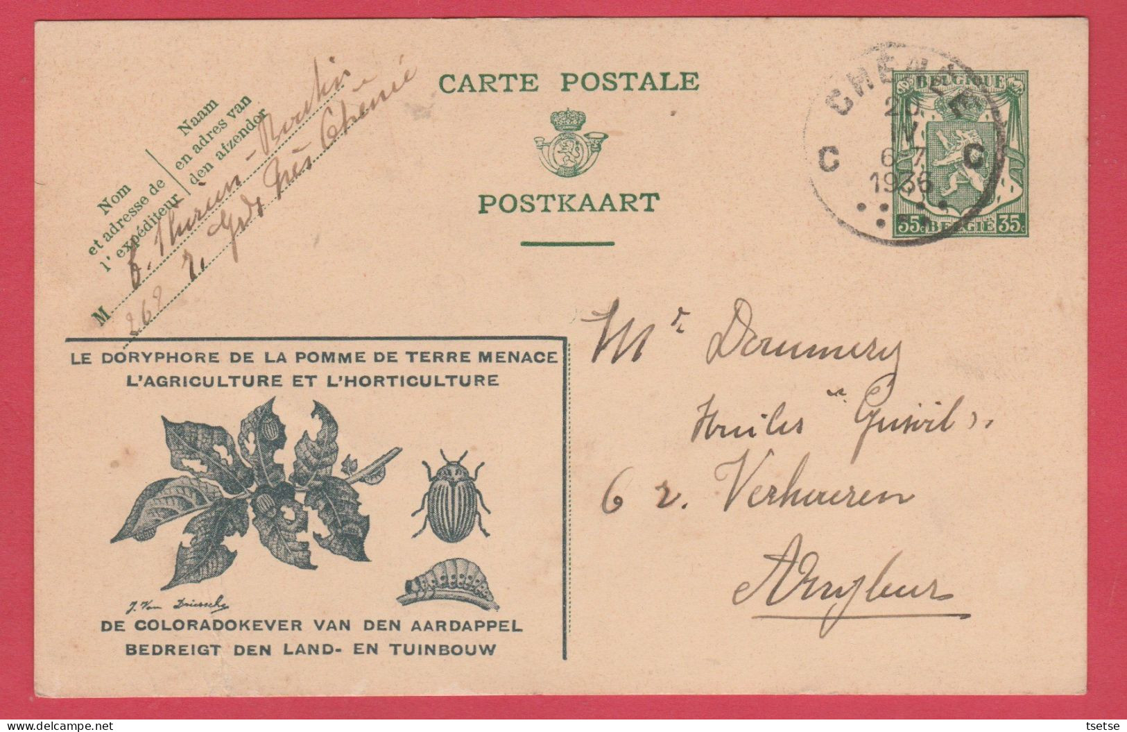 Entier Postal - Le Doryphore De La Pomme De Terre / De Coloradokever Van Den Aardapel - 1936 - Briefkaarten 1934-1951