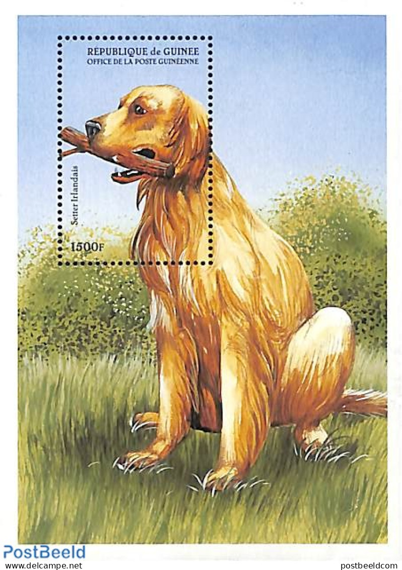 Guinea, Republic 1999 Irish Setter S/s, Mint NH, Nature - Dogs - Other & Unclassified