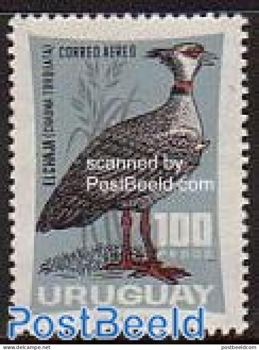 Uruguay 1966 Bird 1v, Mint NH, Nature - Birds - Uruguay