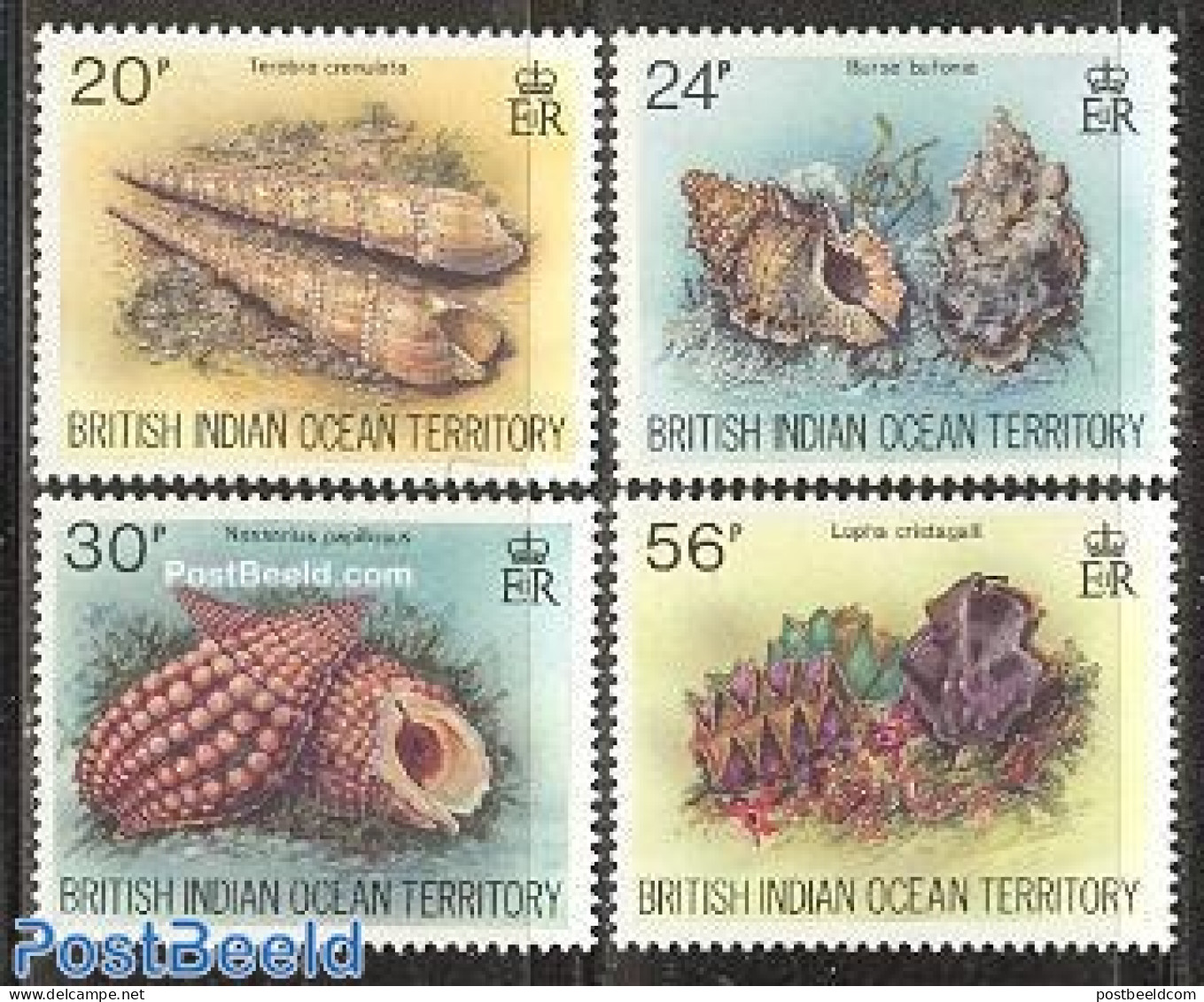 British Indian Ocean 1996 Shells 4v, Mint NH, Nature - Shells & Crustaceans - Meereswelt