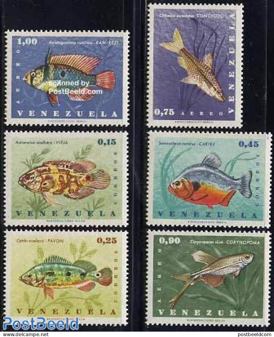 Venezuela 1966 Fish 6v, Mint NH, Nature - Fish - Pesci