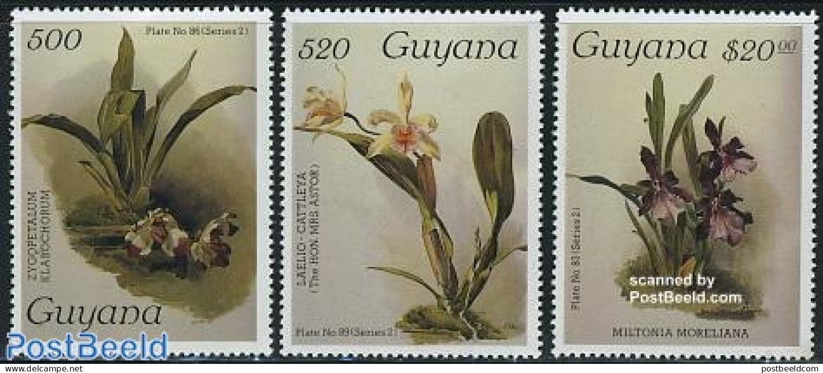 Guyana 1987 Orchids 3v, Mint NH, Nature - Flowers & Plants - Orchids - Guyane (1966-...)