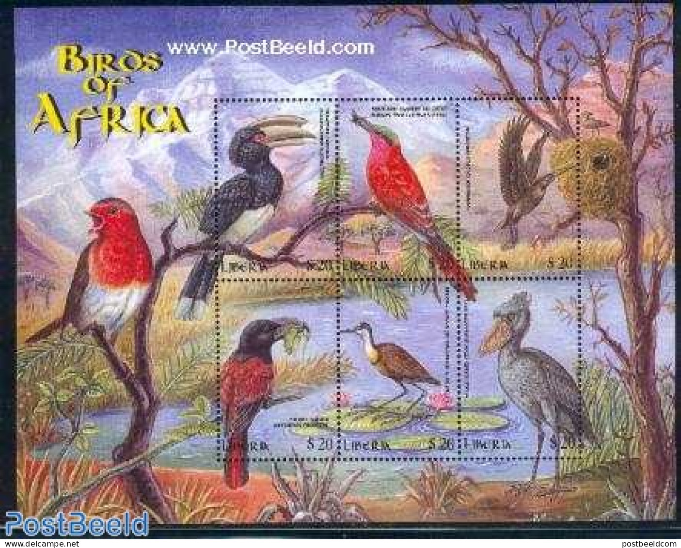 Liberia 2000 Birds 6v M/s, Ceratogymna, Mint NH, Nature - Birds - Otros & Sin Clasificación