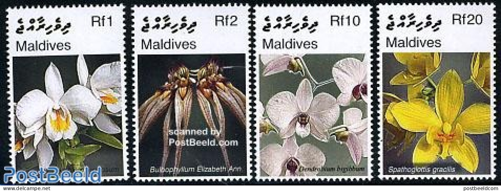 Maldives 2007 Orchids Of Asia 4v, Mint NH, Nature - Flowers & Plants - Orchids - Maldivas (1965-...)