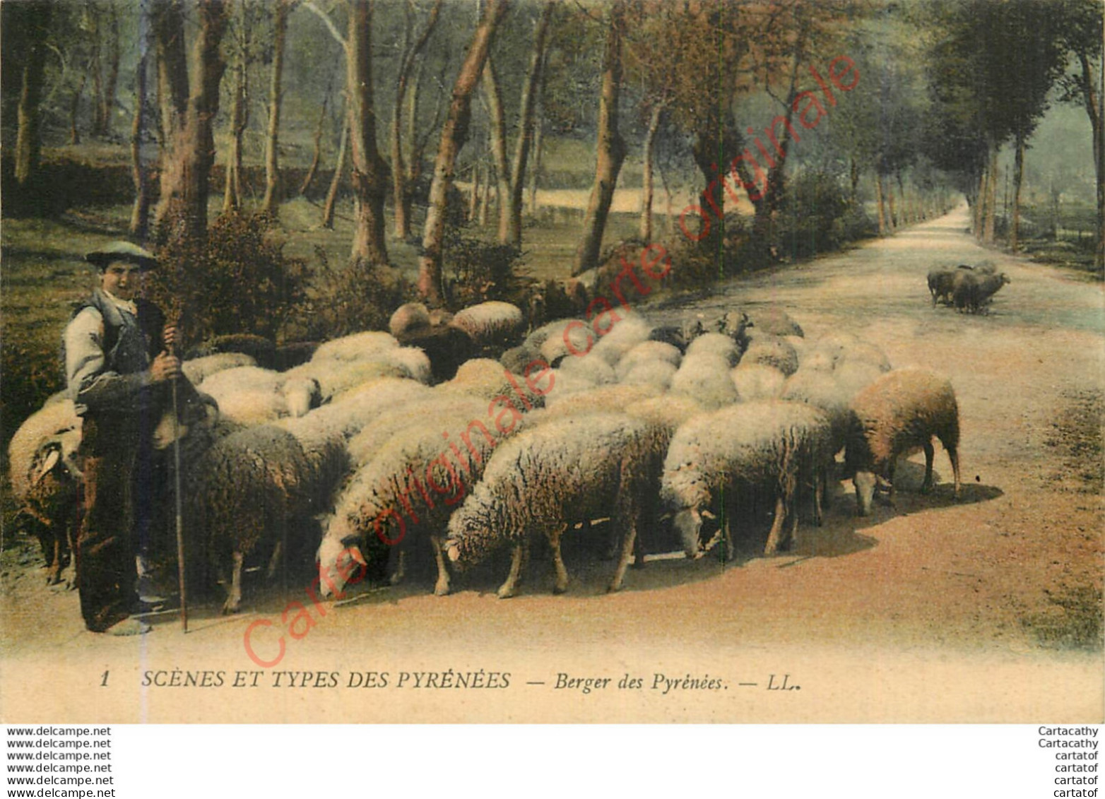 Berger Des Pyrénées .  SCENES ET TYPES DES PYRENEES . - Sonstige & Ohne Zuordnung