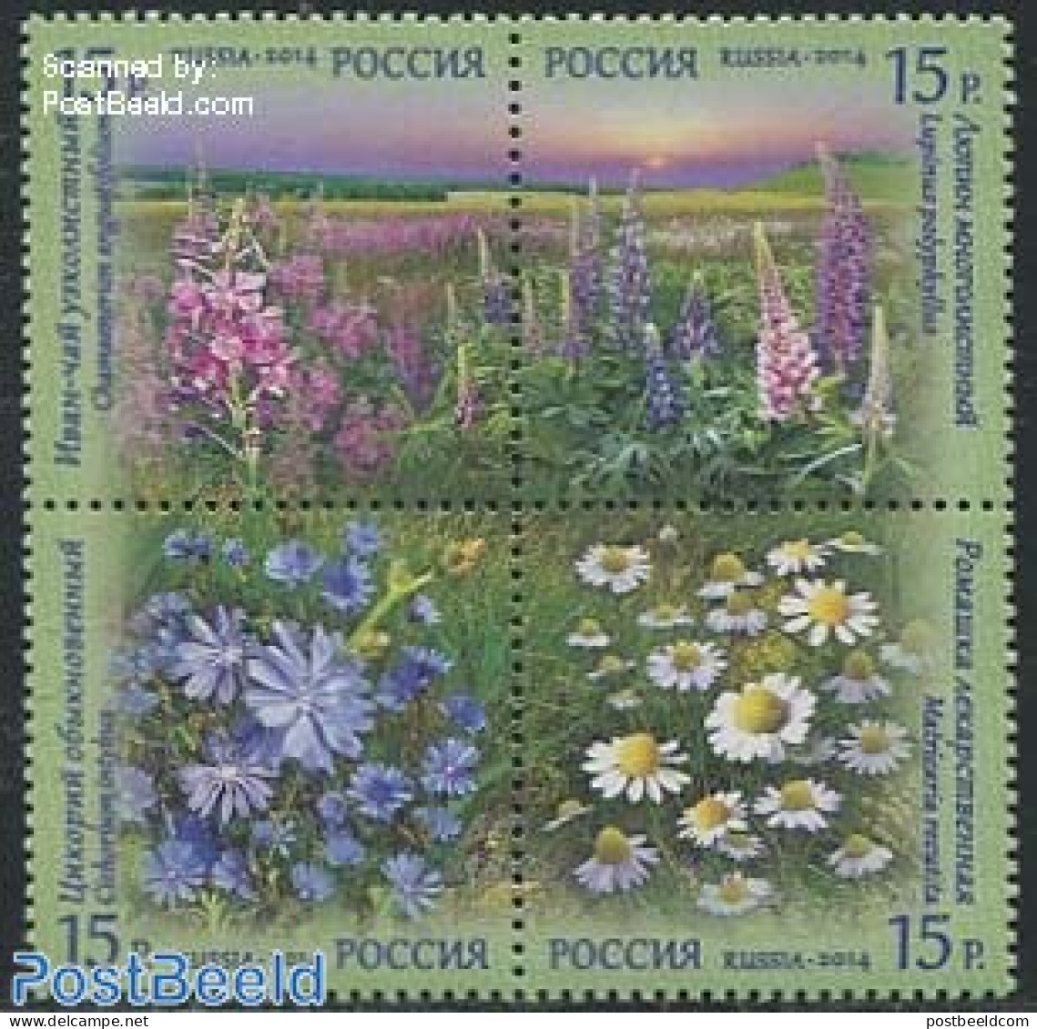 Russia 2014 Wild Flowers 4v [+], Mint NH, Nature - Flowers & Plants - Autres & Non Classés