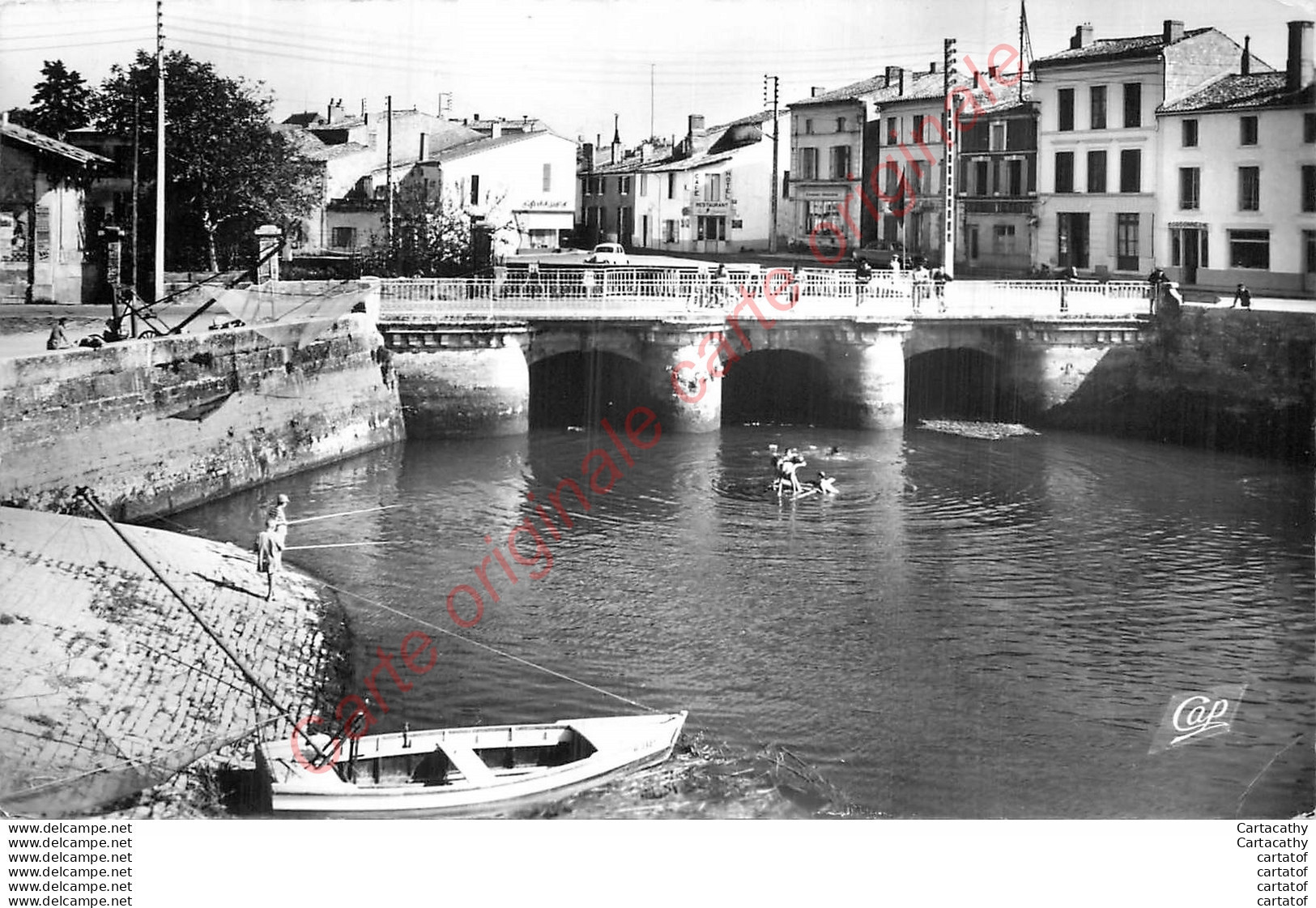 17.  SAUJON .  Les Bords De La Seudre Et Le Port . - Saujon