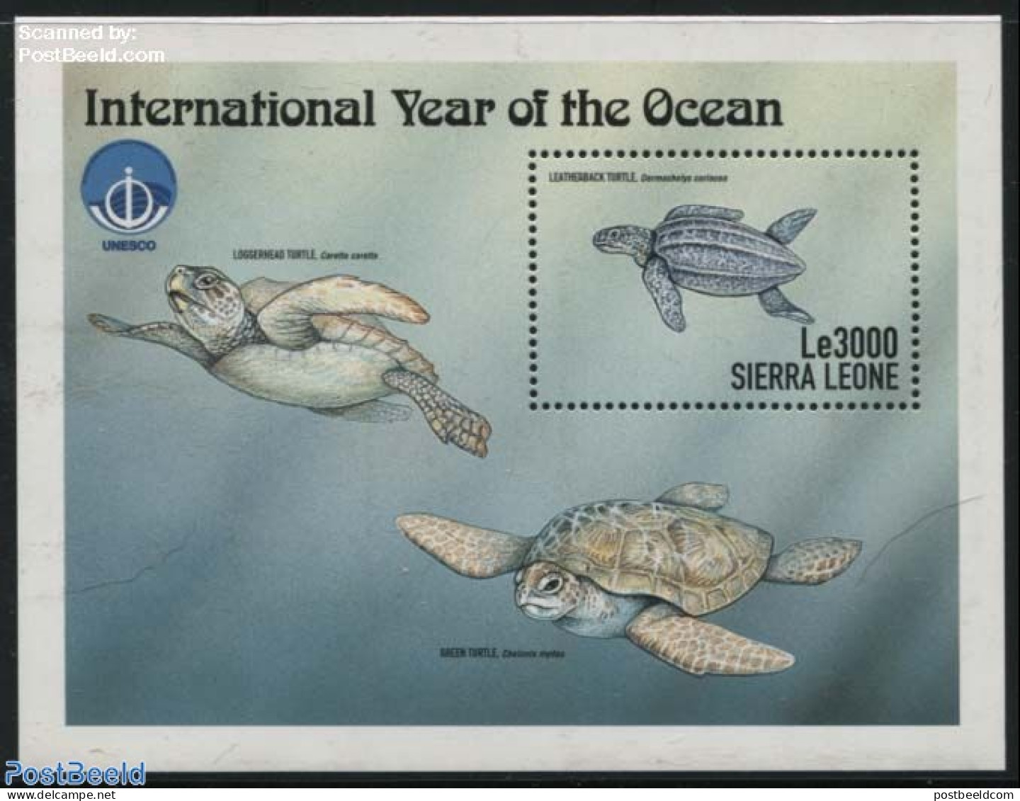 Sierra Leone 1999 Leatherback Turtle S/s, Mint NH, Nature - Reptiles - Turtles - Other & Unclassified