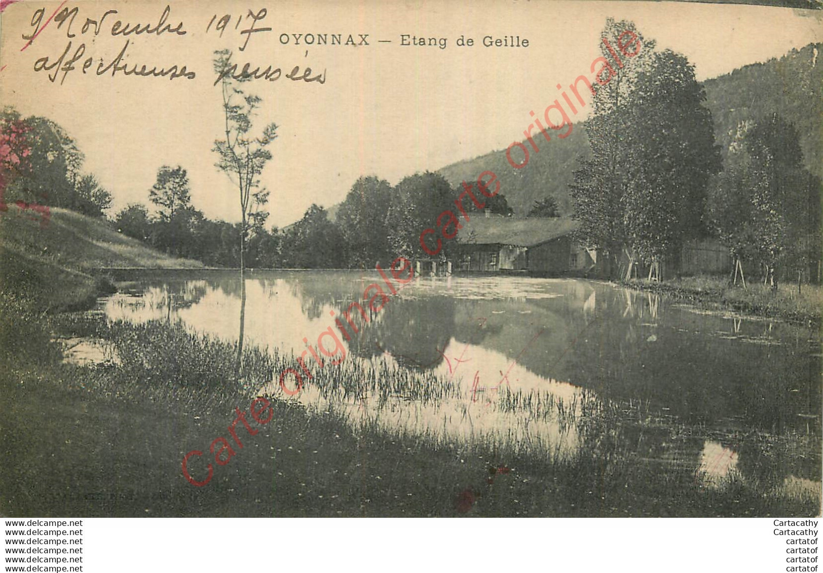 01.  OYONNAX .  Etang De Geille . - Oyonnax