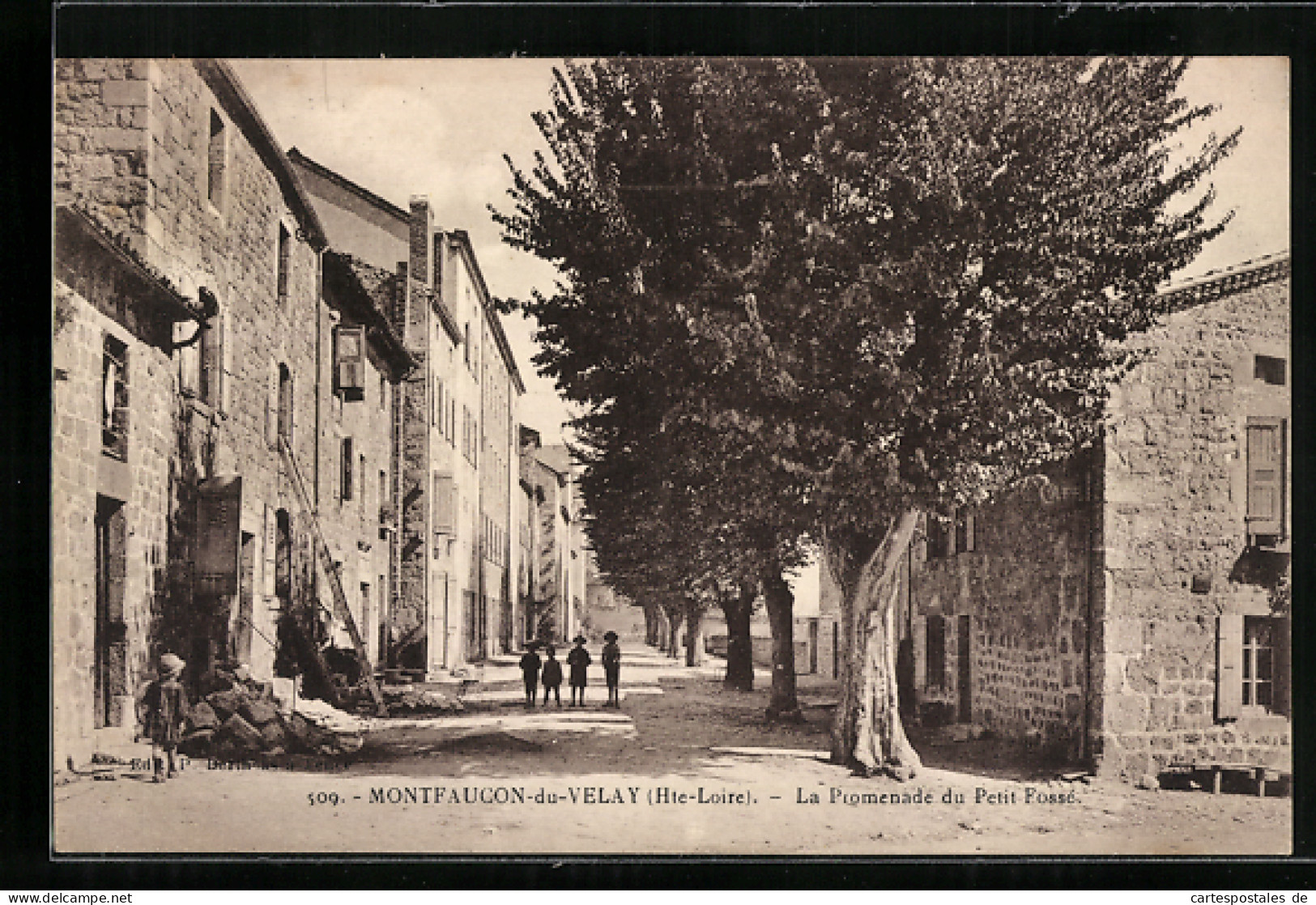 CPA Montfaucon-du-Velay, La Promenade Du Petit Fossé  - Montfaucon En Velay