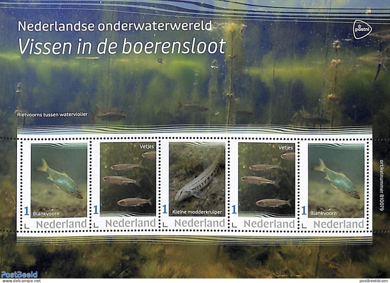 Netherlands - Personal Stamps TNT/PNL 2023 Underwaterworld 5v M/s, Mint NH, Nature - Fish - Fishes