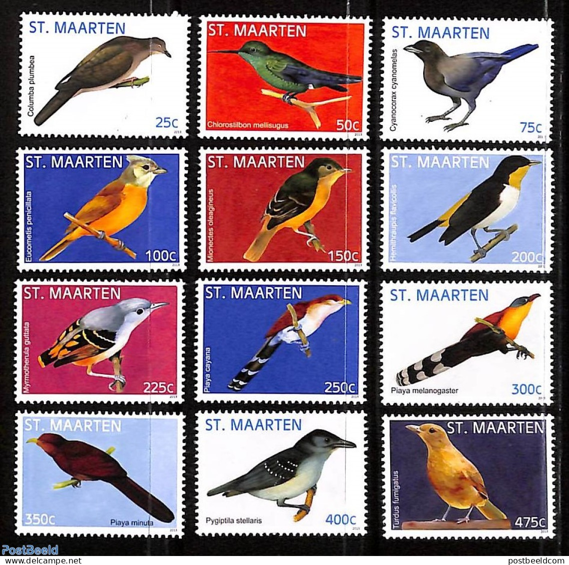 St. Maarten 2013 Birds 12v, Mint NH, Nature - Birds - Andere & Zonder Classificatie