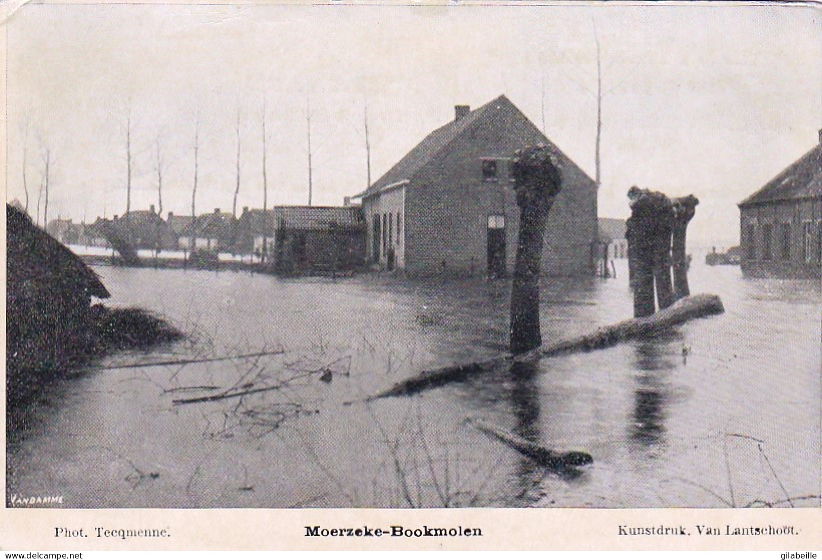 MOERZEKE BOOKMOLEN - Pour Les Inondés De Grembergen - Moerzeke - Hamme - Hamme