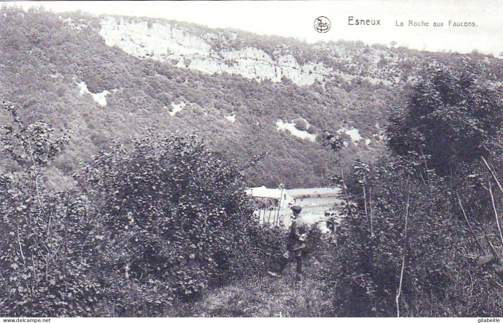 ESNEUX - La Roche Aux Faucons - Esneux