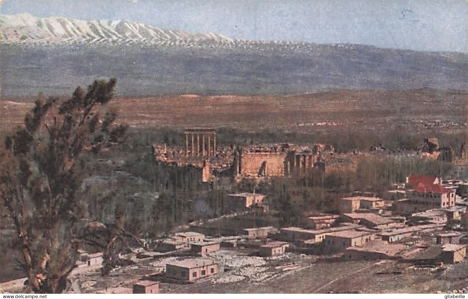 BALBECK  - BALBEEK - Vue Generale De L'acropole Et D'une Partie De La Ville - Lebanon