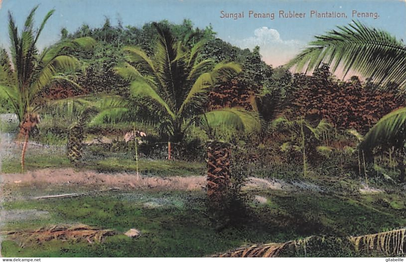 Maleysia - PENANG - Sungal Penang Rubleer Plantation - 1914 - Maleisië