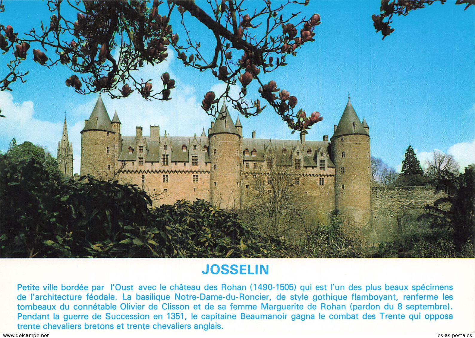 56 JOSSELIN LE CHATEAU - Josselin