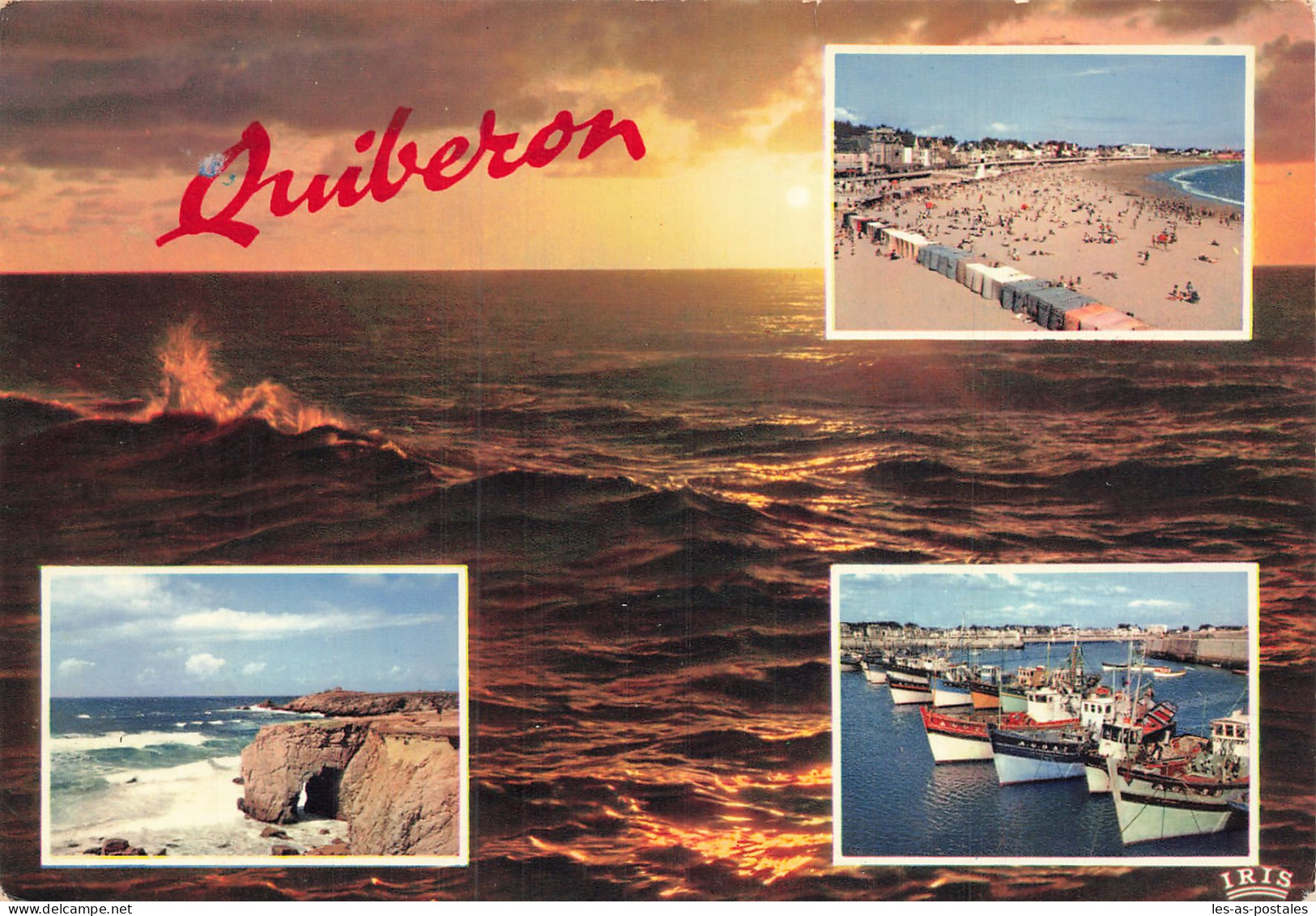 56 QUIBERON - Quiberon