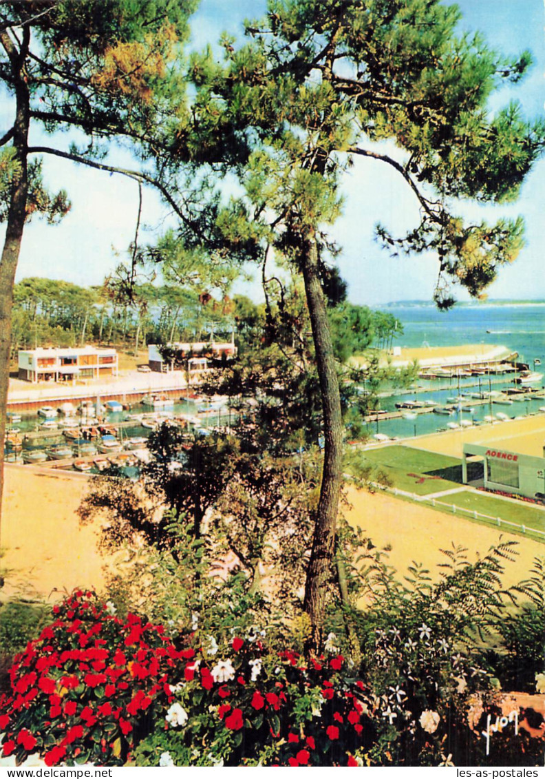 33 BASSIN D ARCACHON LE PORT DE LA VIGNE - Arcachon