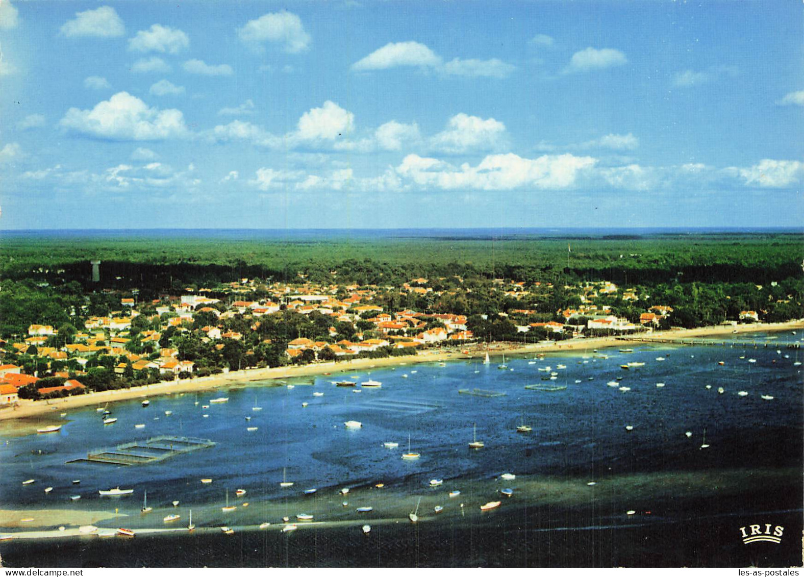 33 ANDERNOS LES BAINS - Andernos-les-Bains