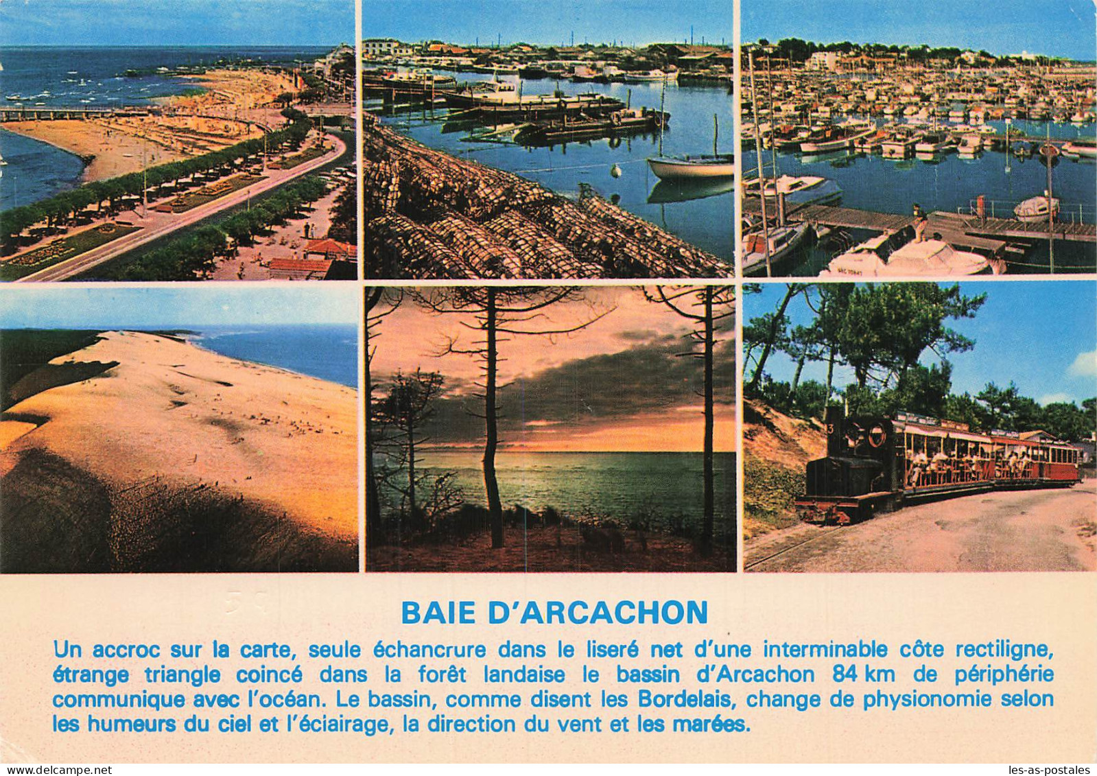 33 BAIE D ARCACHON  - Arcachon