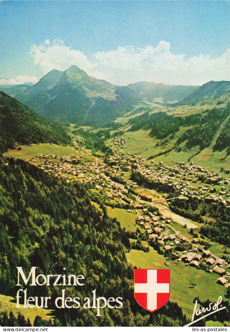 74  MORZINE POINTE DE NYON - Morzine