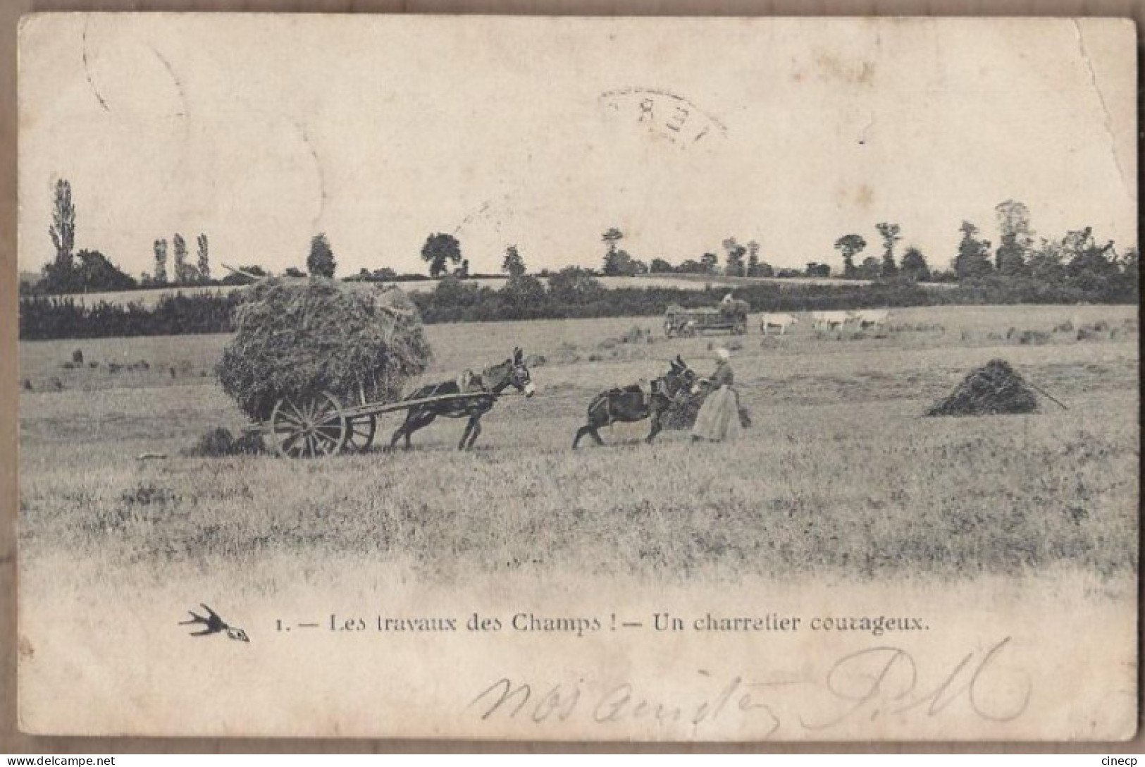 CPA AGRICULTURE - Les Travaux Des Champs ! - Un Charretier Courageux - TB PLAN ATTELAGE ANE MULET 1904 - Landwirtschaftl. Anbau