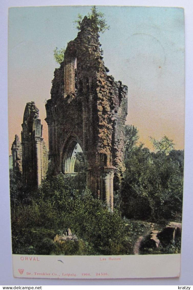 BELGIQUE - LUXEMBOURG - FLORENVILLE - VILLERS DEVANT ORVAL - L'Abbaye - Les Ruines - 1902 - Florenville