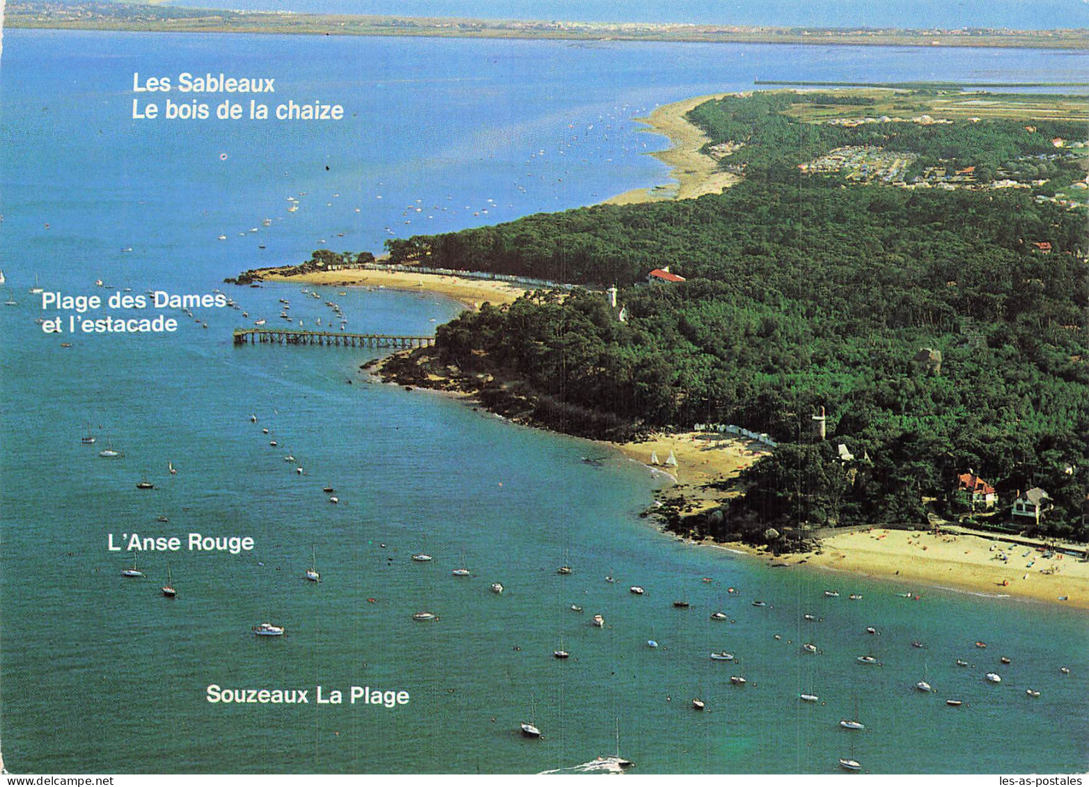 85  ILE DE NOIRMOUTIER - Ile De Noirmoutier