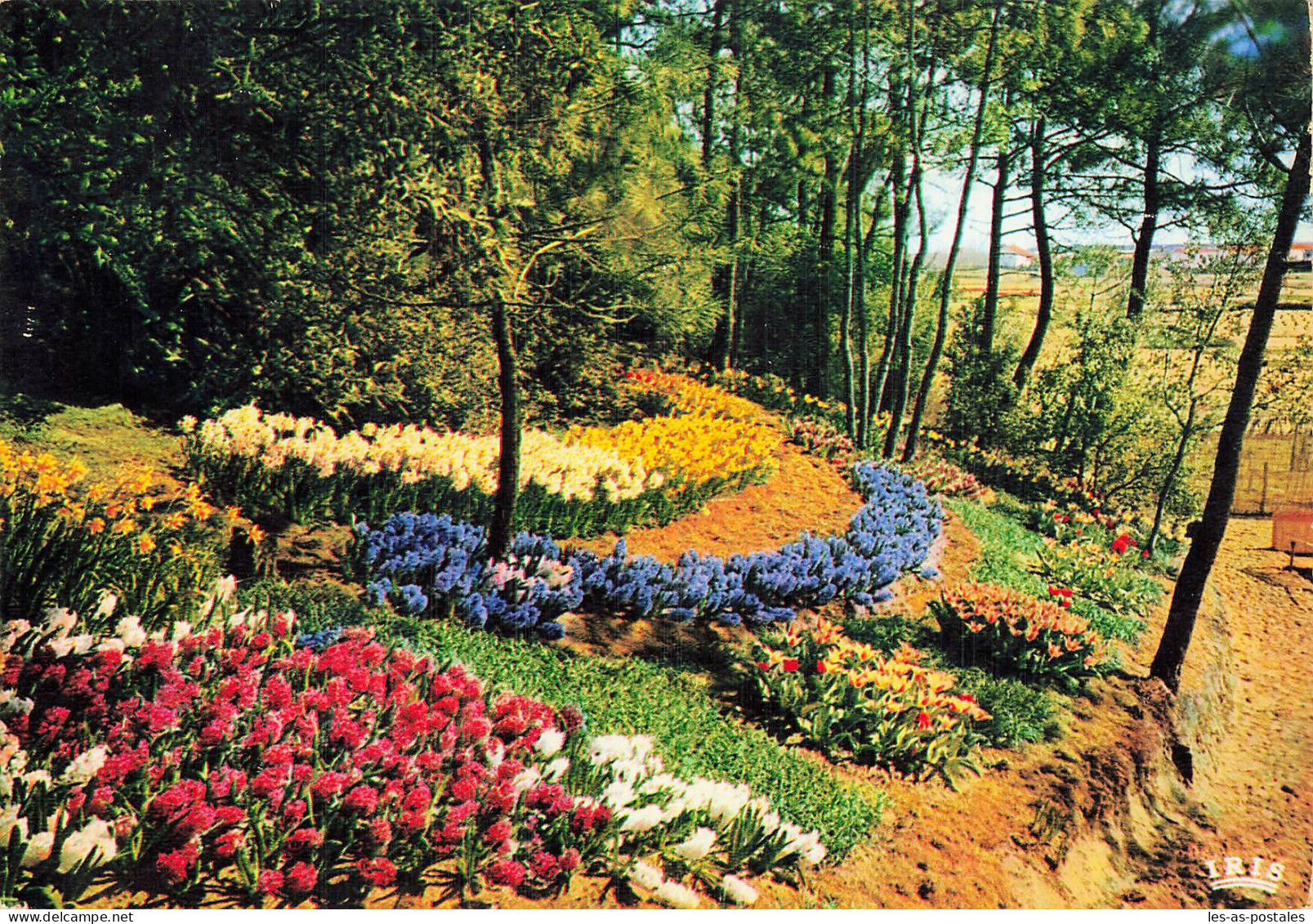 85 LA TRANCHE SUR MER LES FLORALIES - La Tranche Sur Mer