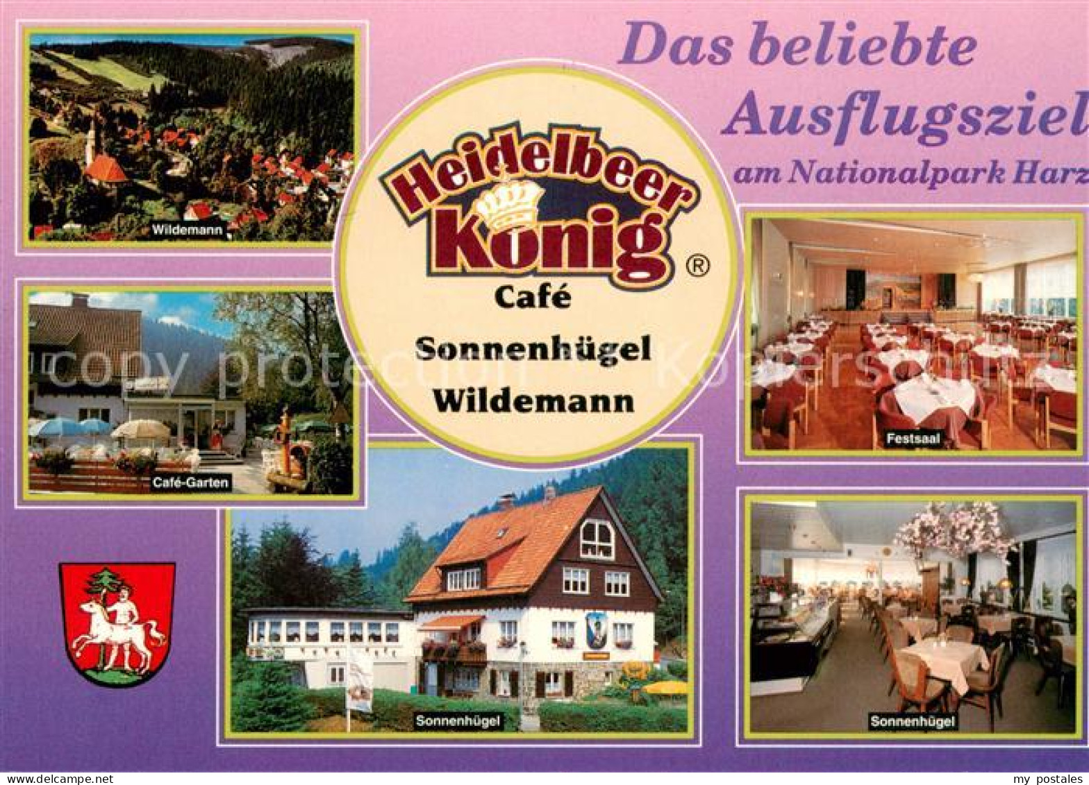 73615441 Wildemann Heidelberg Koenig Cafe Wildemann Cafe Garten Festsaal Sonnenh - Wildemann