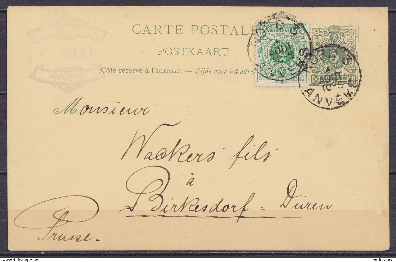 EP CP 5c Vert-gris (type N°45) + N°45 Càd "NORD 3 /4 AOUT/ ANVERS (1891) Pour BIRKESDORF Prusse - Cartes Postales 1871-1909