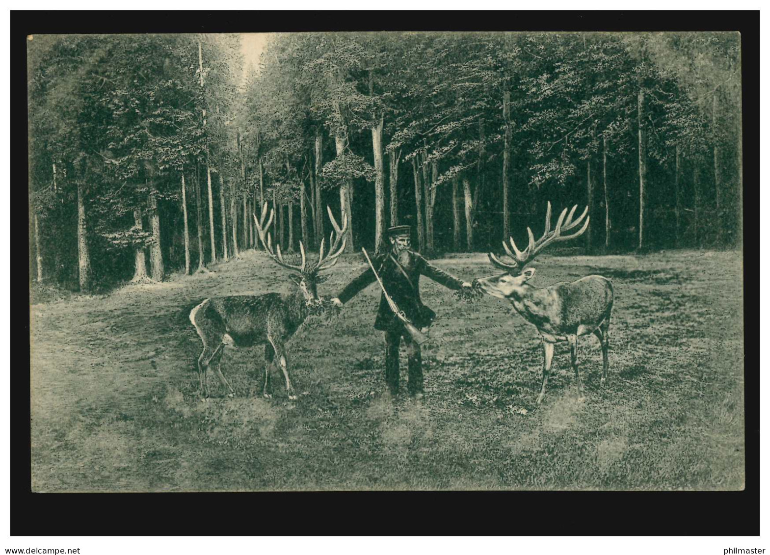 Foto-AK Tiere: Jäger Füttert Zwei Hirsche, MARTINRODA Um 1910 - Andere & Zonder Classificatie
