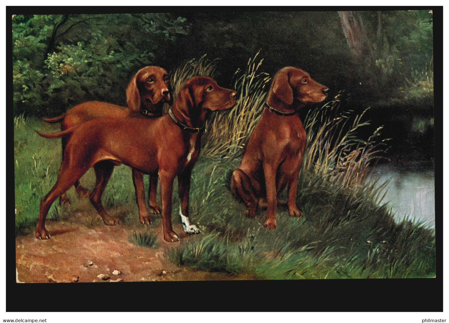 Künstler-AK Drei Hunde Am Teich, Verlag T.S.N., Ungebraucht - Honden