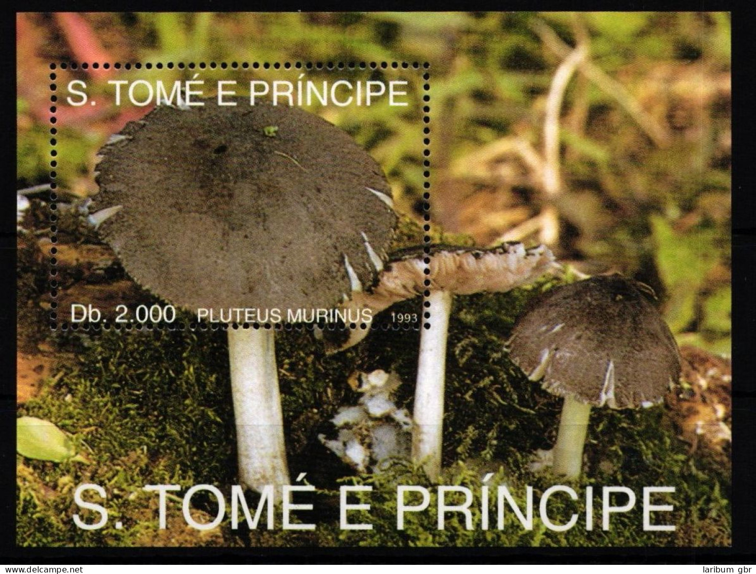 Sao Tome E Principe Block 296 Postfrisch Pilze #HR845 - São Tomé Und Príncipe