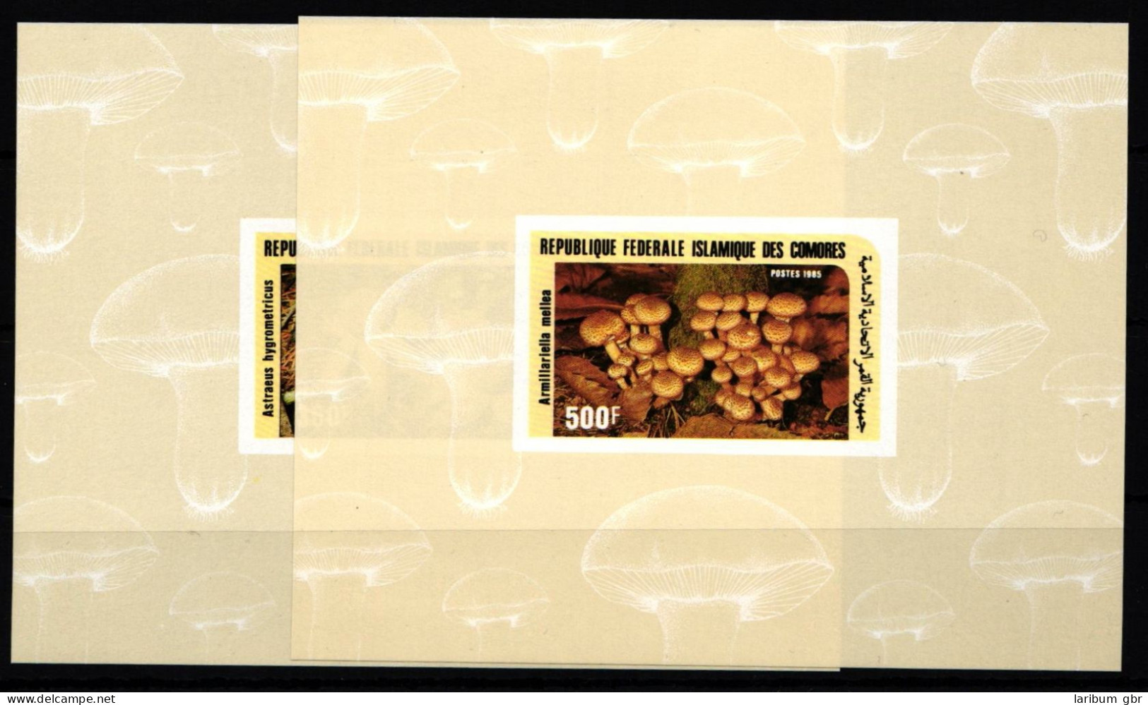 Komoren 765 Und 766 Postfrisch Einzelblöcke / Pilze #HR977 - Comores (1975-...)