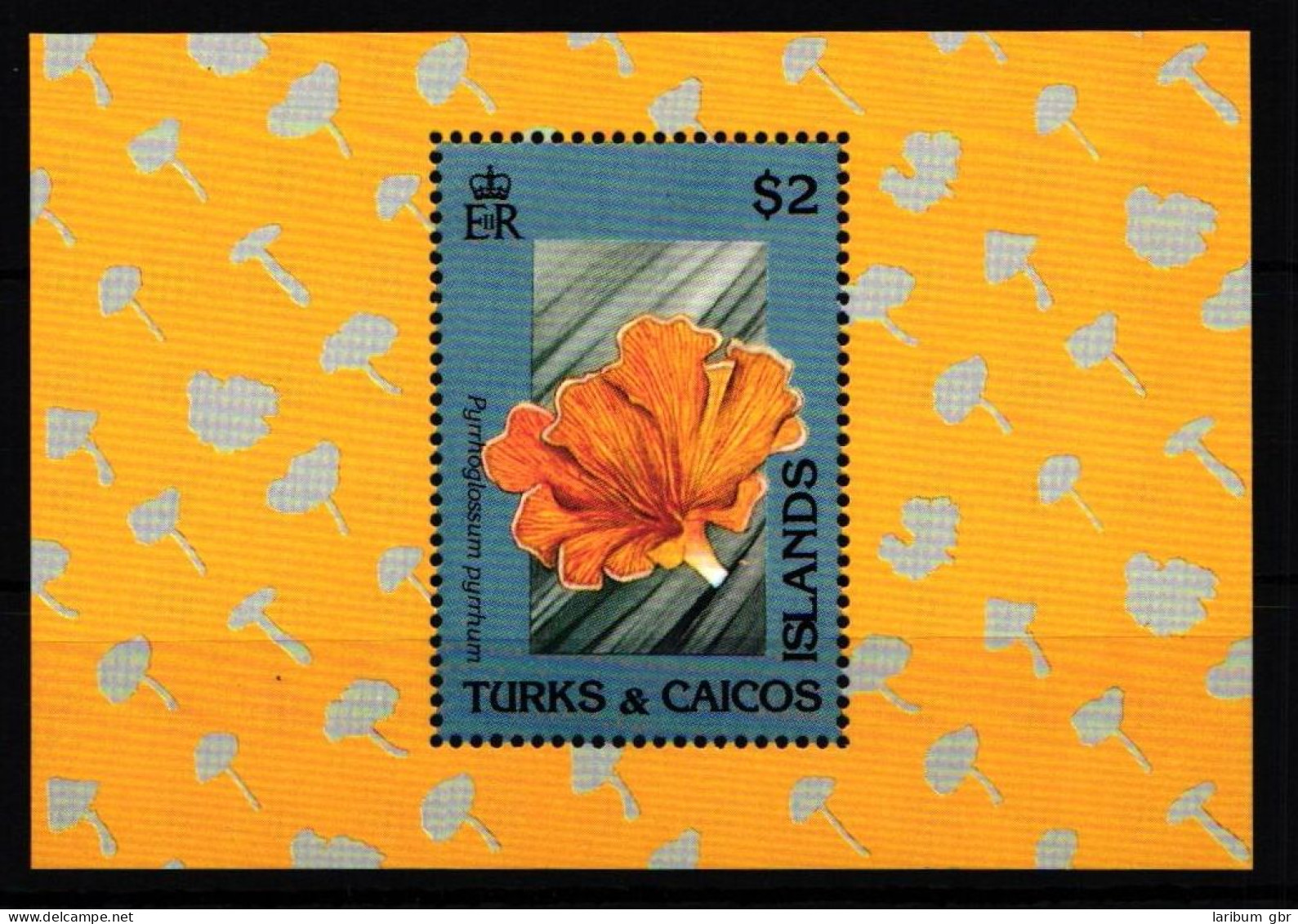Turks Und Caicos Inseln Block 106 Postfrisch Pilze #HR844 - Turks- En Caicoseilanden