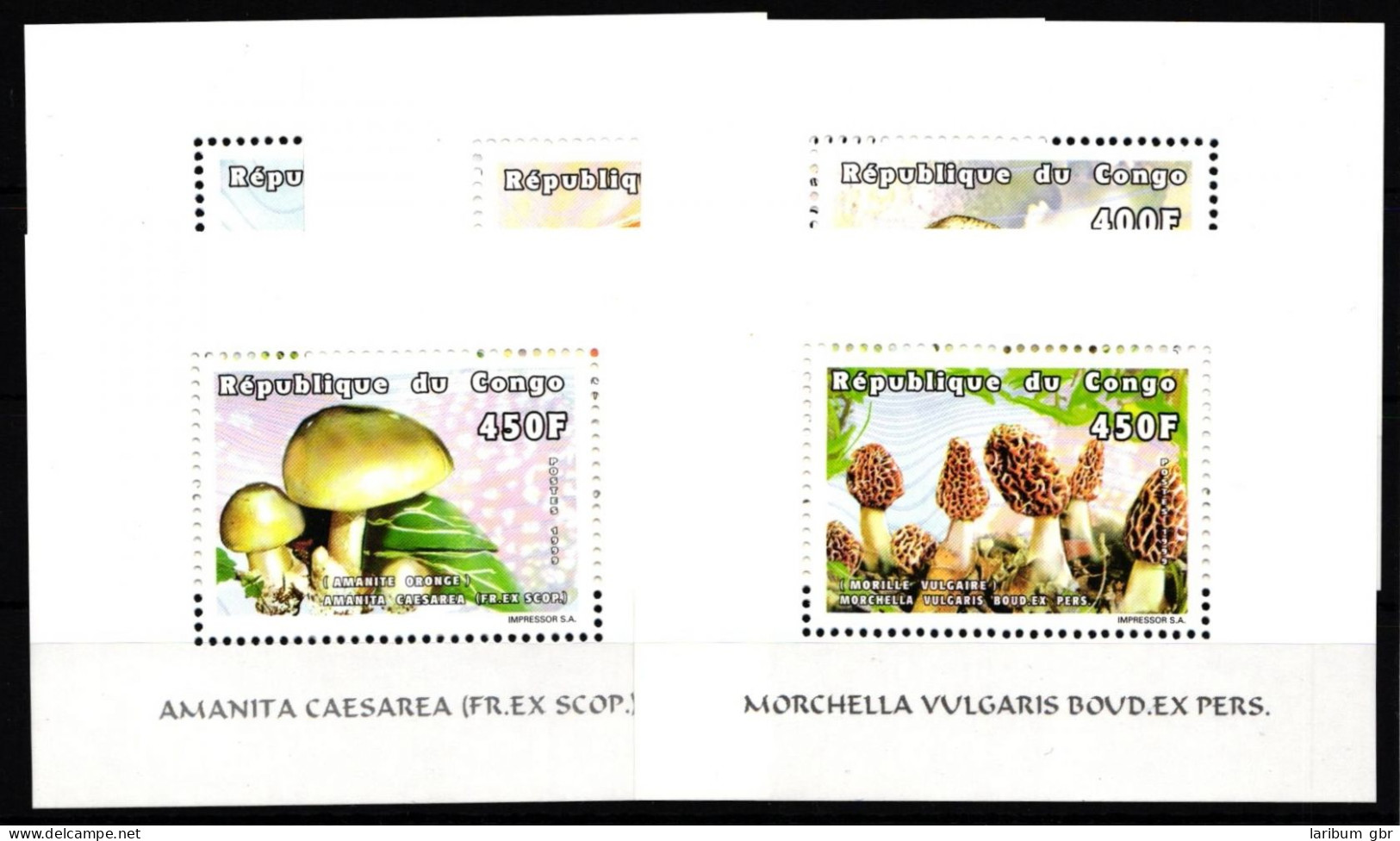 Kongo (Brazzaville) 1631-1635 Postfrisch Einzelblöcke / Pilze #HR903 - Other & Unclassified