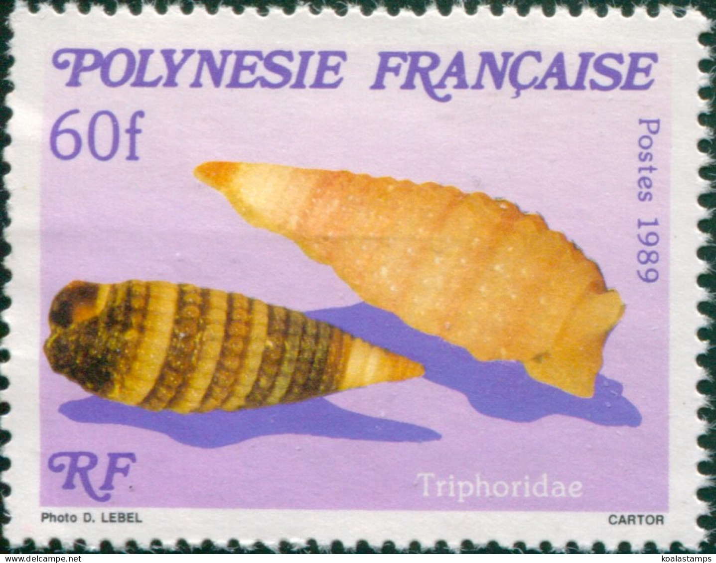 French Polynesia 1989 Sc#523,SG573 60f Sea Shell MNH - Other & Unclassified