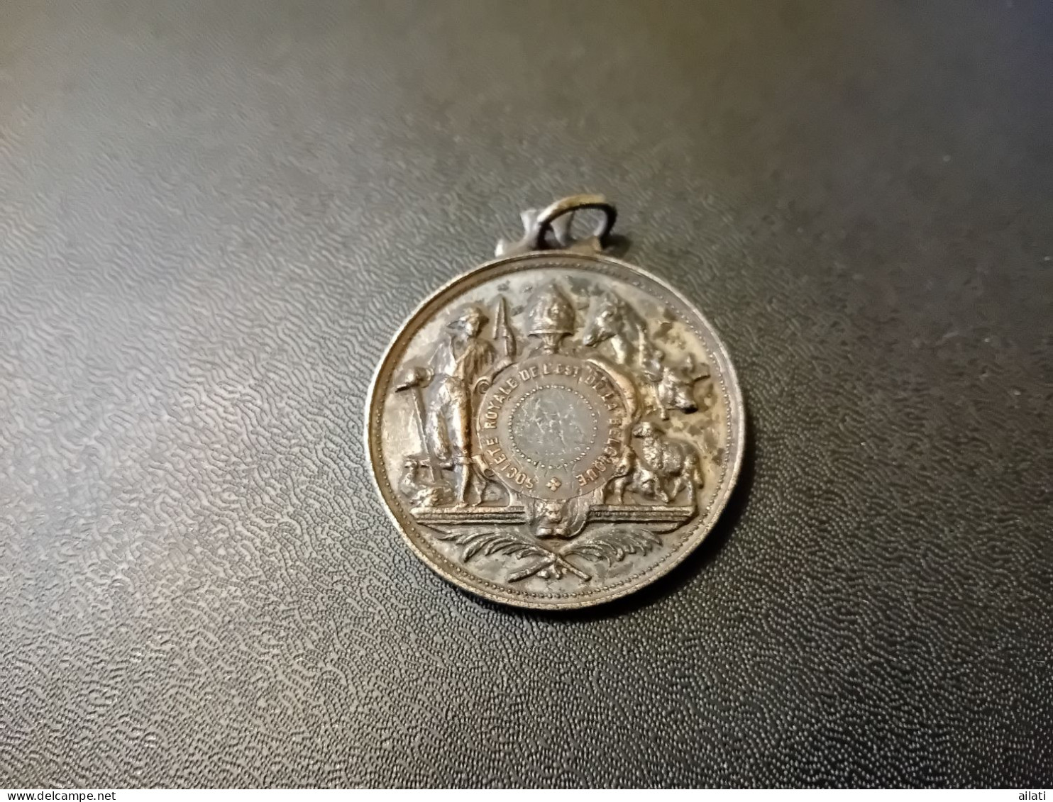 Médaille De La Sociéte Royale Agricole Belges (Tinlot Et Huy) - Jetons De Communes
