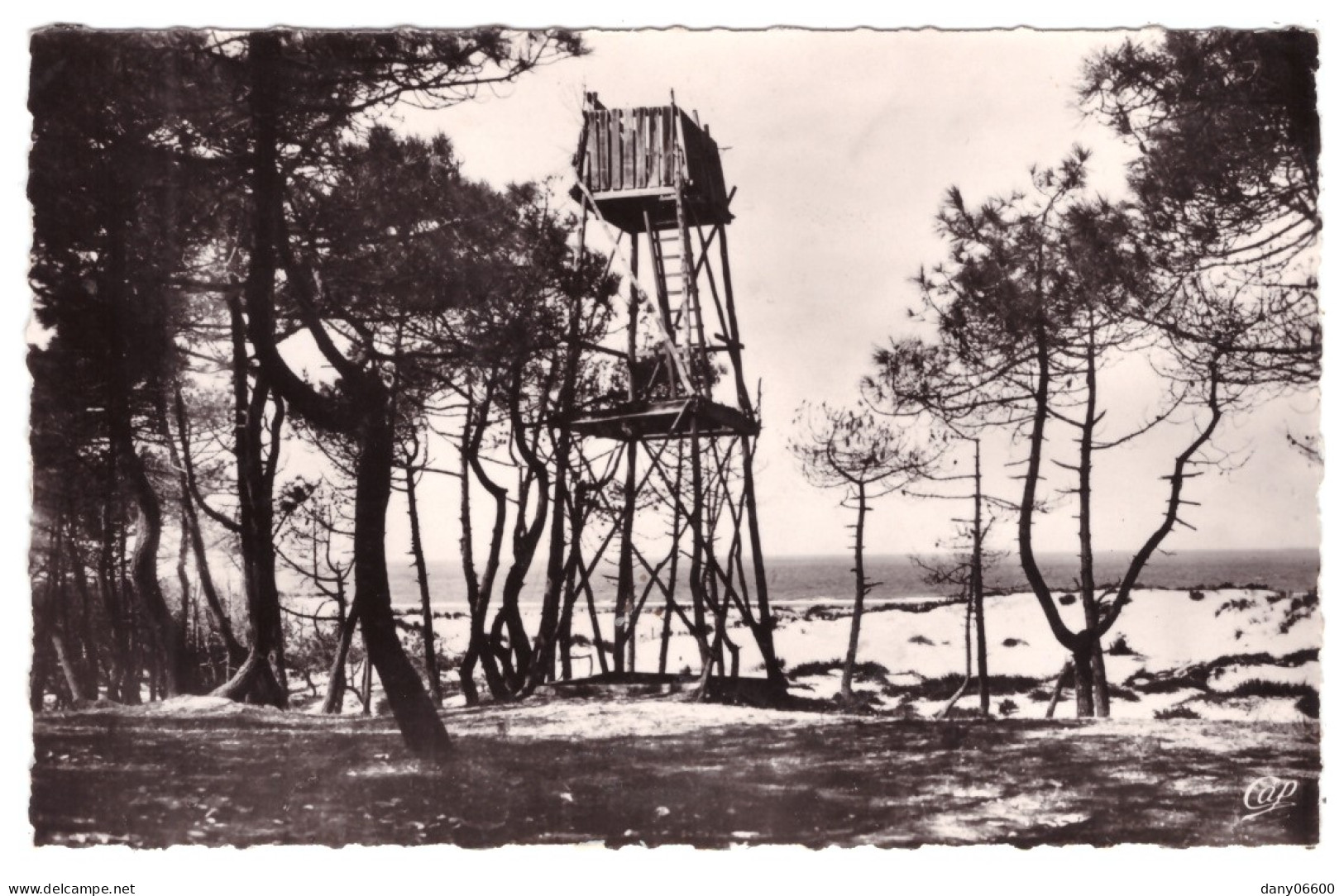 SOULAC SUR MER - Poste De Chasse Dans Les Pins  (carte Photo) - Soulac-sur-Mer