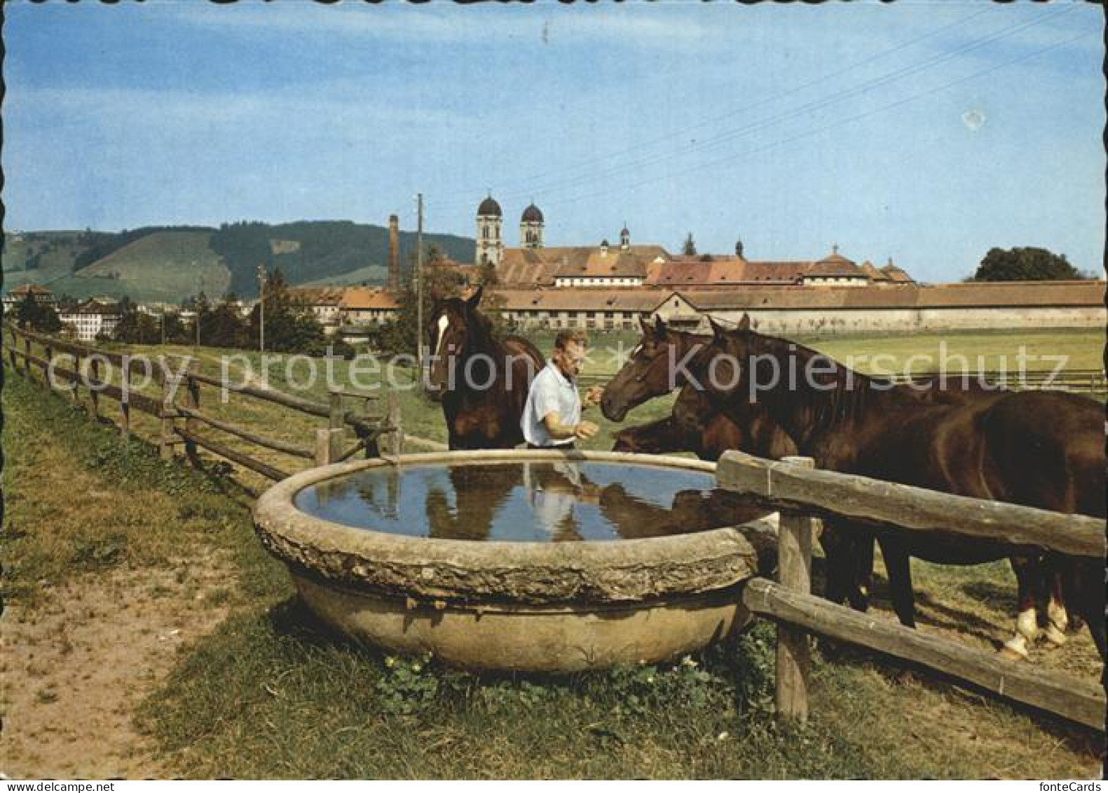 12361335 Einsiedeln SZ Pferdetraenke  Einsiedeln - Autres & Non Classés