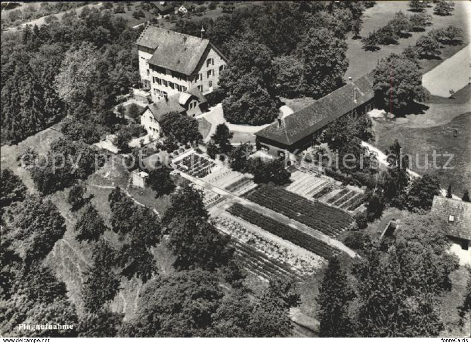 12360125 Hohentannen TG Schloss Oetlishausen Landschulheim Fliegeraufnahme Hohen - Other & Unclassified